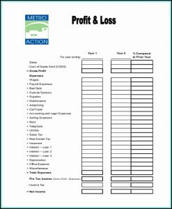 Free Small Business Profit And Loss Statement Template