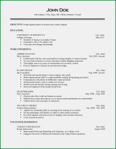 Generic Cv Template Free