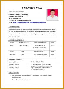 How To Make Resume For Job Application