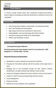 Hr Executive Resume Formats