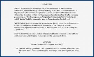Forming An Llc In Georgia