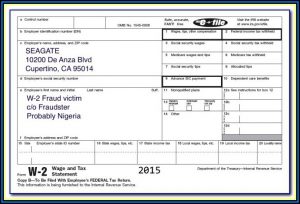 Free Fake W2 Forms