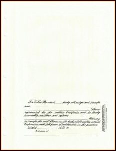 Goes Stock Certificate Template