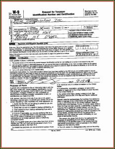 Irs Fillable Forms W 9