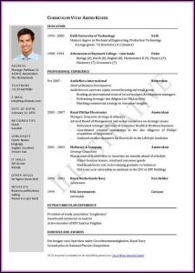Job Resume Template Word Free