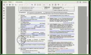 K1 Us Visa Application Form