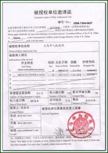 K1 Visa Application Form Sample