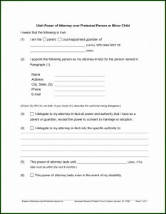 Legal Guardianship Forms Pdf Texas