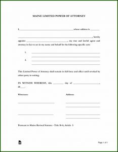 Limited Power Of Attorney Form Maine