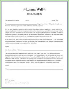 Living Will Forms Free Printable