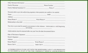 Medical Consent Form For Babysitter