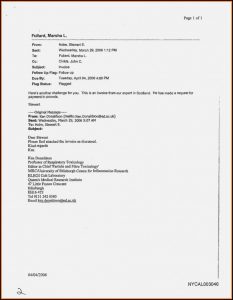 Medical Expert Witness Invoice Template