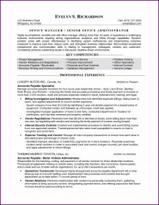 Medical Writing Resume Templates