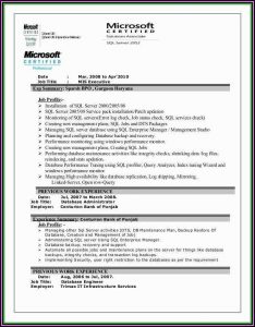 Mis Executive Resume Format