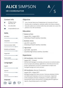 Modern Resume Template Free Download Pdf