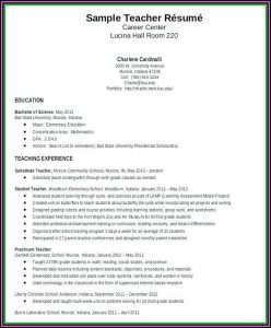 Music Teacher Resume Word Format