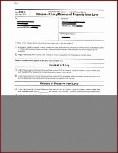 Nevada Bankruptcy Forms Chapter 7