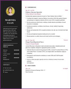 Nurse Resume Builder