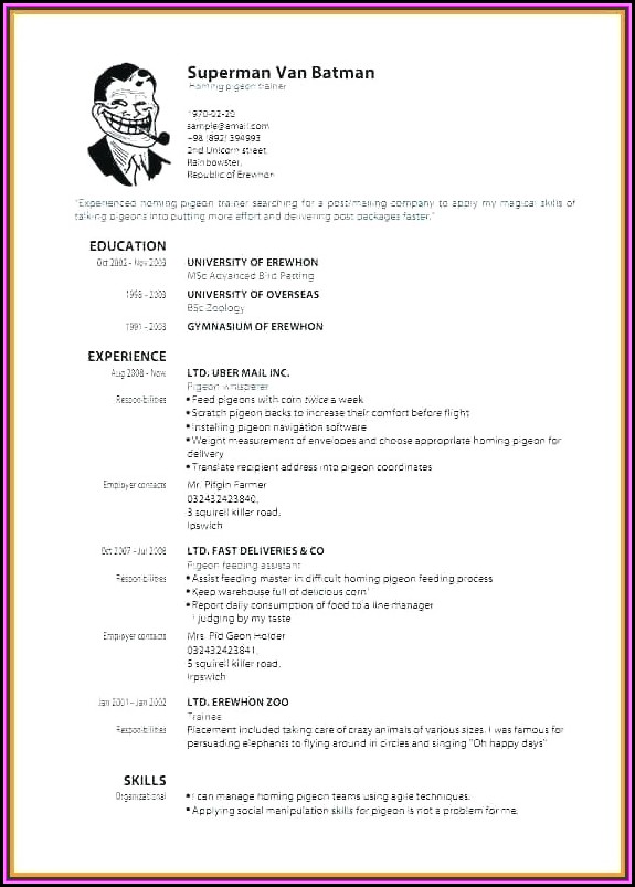 Nursing Resume Templates Free