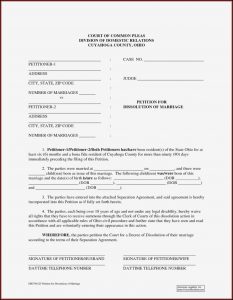 Ohio Dissolution Of Marriage Forms