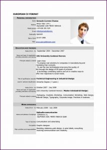 Pdf Cv Format Free Download