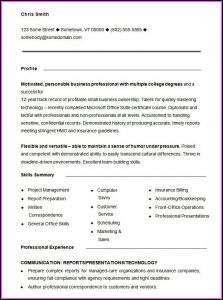 Printable Functional Resume Sample