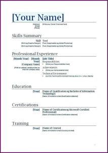 Professional Resume Template Microsoft Word 2010
