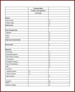 Profit And Loss Statement Form (su580)