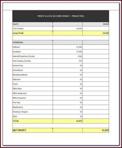 Profit & Loss Statement Format In Excel