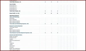 Profit Loss Statement Format India