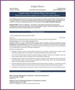 Project Management Cv Templates Free