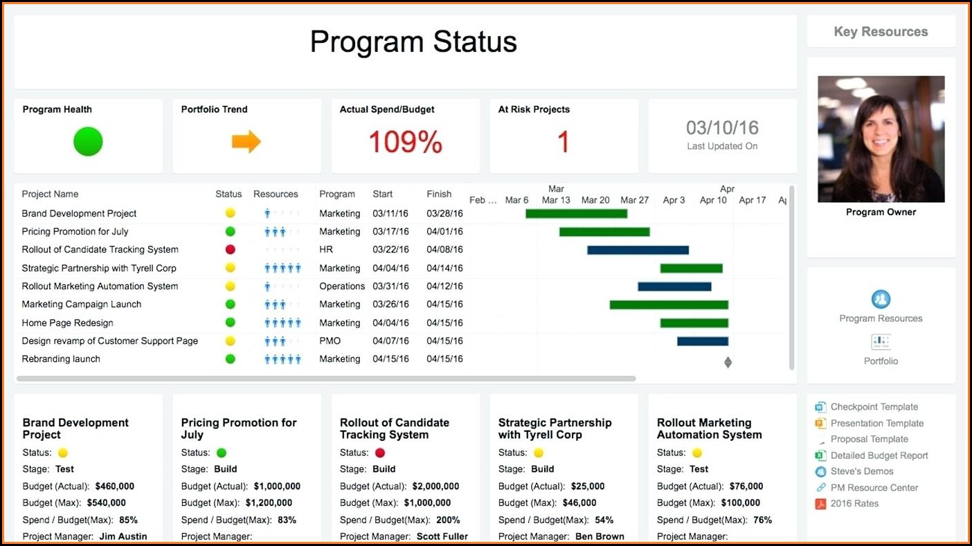 Project Portfolio Management Dashboard Examples
