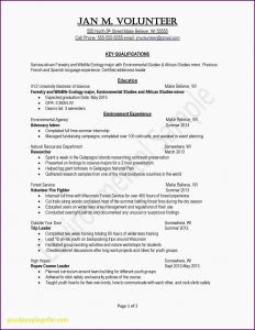 Resume Builder For Stay At Home Mom