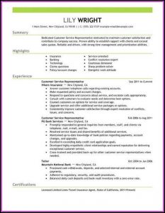 Resume Example For Customer Service
