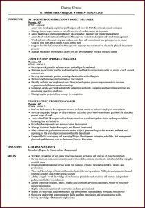 Resume Examples For Project Managers In Construction