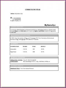 Resume For Freshers Engineers Ece