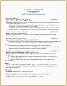 Resume Samples For Nurses Pdf