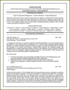 Resume Summary Examples For Project Managers