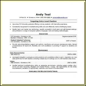 Resume Template For Microsoft Word 2007 Download