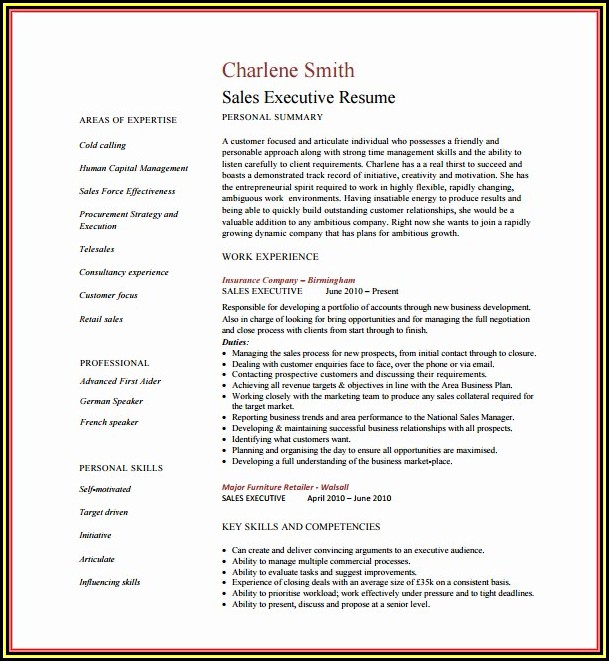 Resume Template For Sales Executives