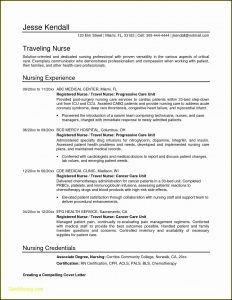 Resume Templates En Espanol