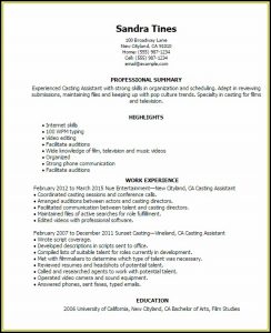 Resume Templates Example