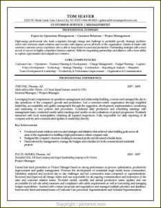 Resume Templates For Construction Project Manager