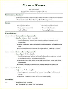 Resume Templates For Customer Service Representatives