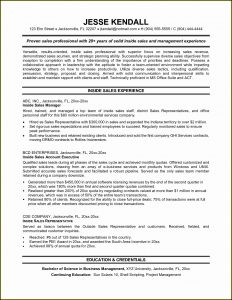 Resume Templates For Sales Positions