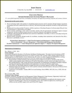 Resume Templates For Senior Project Manager