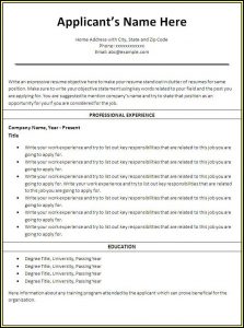 Resume Templates Word Nursing