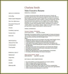 Sales Executive Resume Template Free