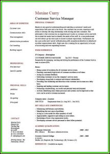 Sample Of Resume For Customer Service Manager