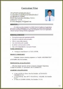 Sample Resume For Sales Executive Fresher